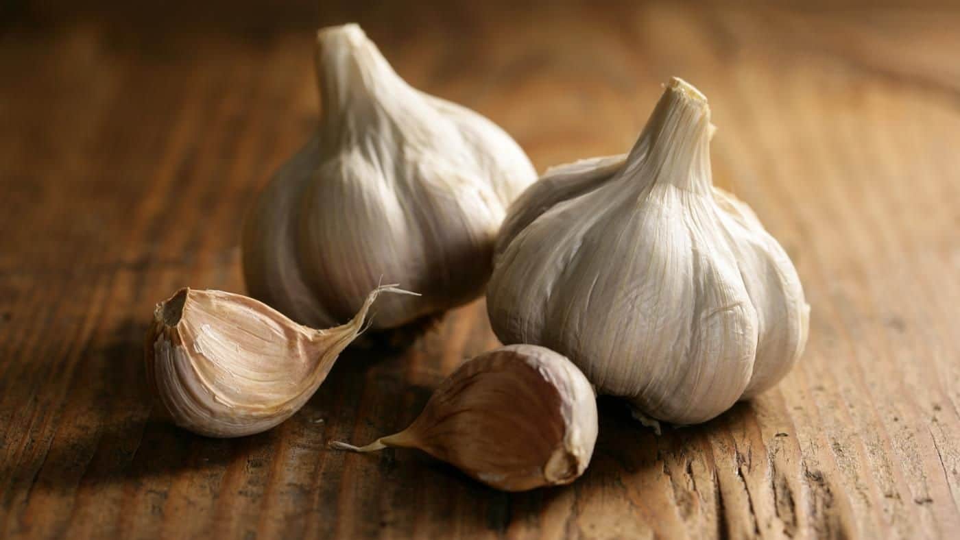 how-much-garlic-powder-equals-one-clove-the-housing-forum