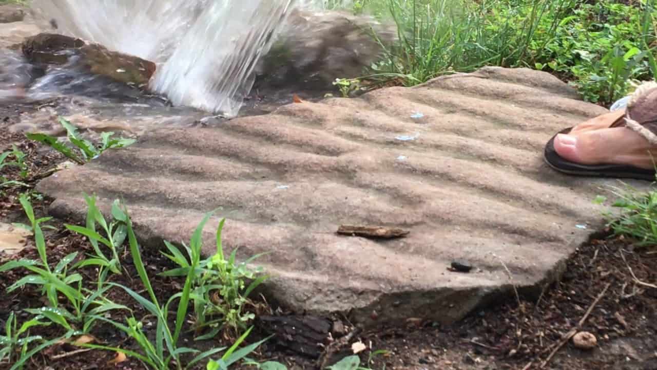 How To Get Rid Of Ground Bees The Housing Forum