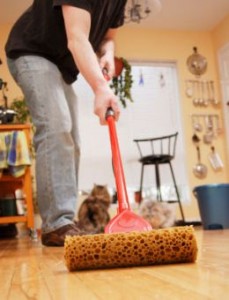 Cleaning Wood Floors Cleaning Wood Floors