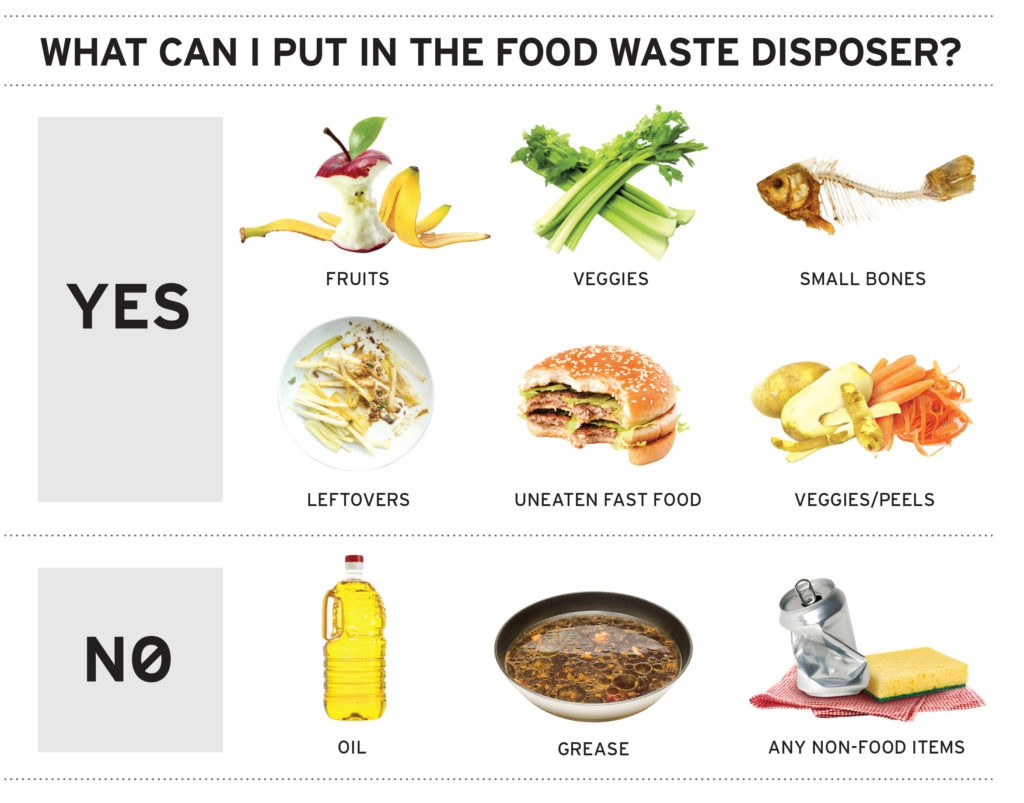 Can You Put Egg Shells Down The Garbage Disposal? The Housing Forum