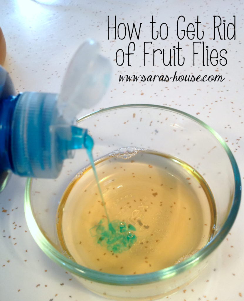 how to get rid of fruit flies in the house