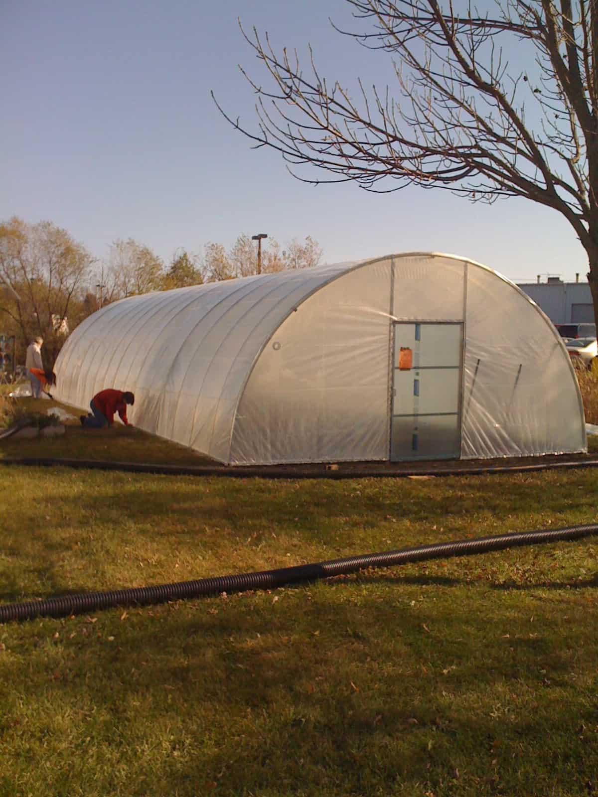 How much Does a Greenhouse Cost? – The Housing Forum