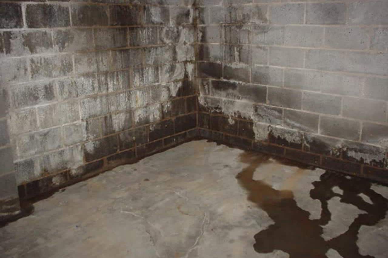 How Much Does it Cost to Waterproof a Basement? – The Housing Forum