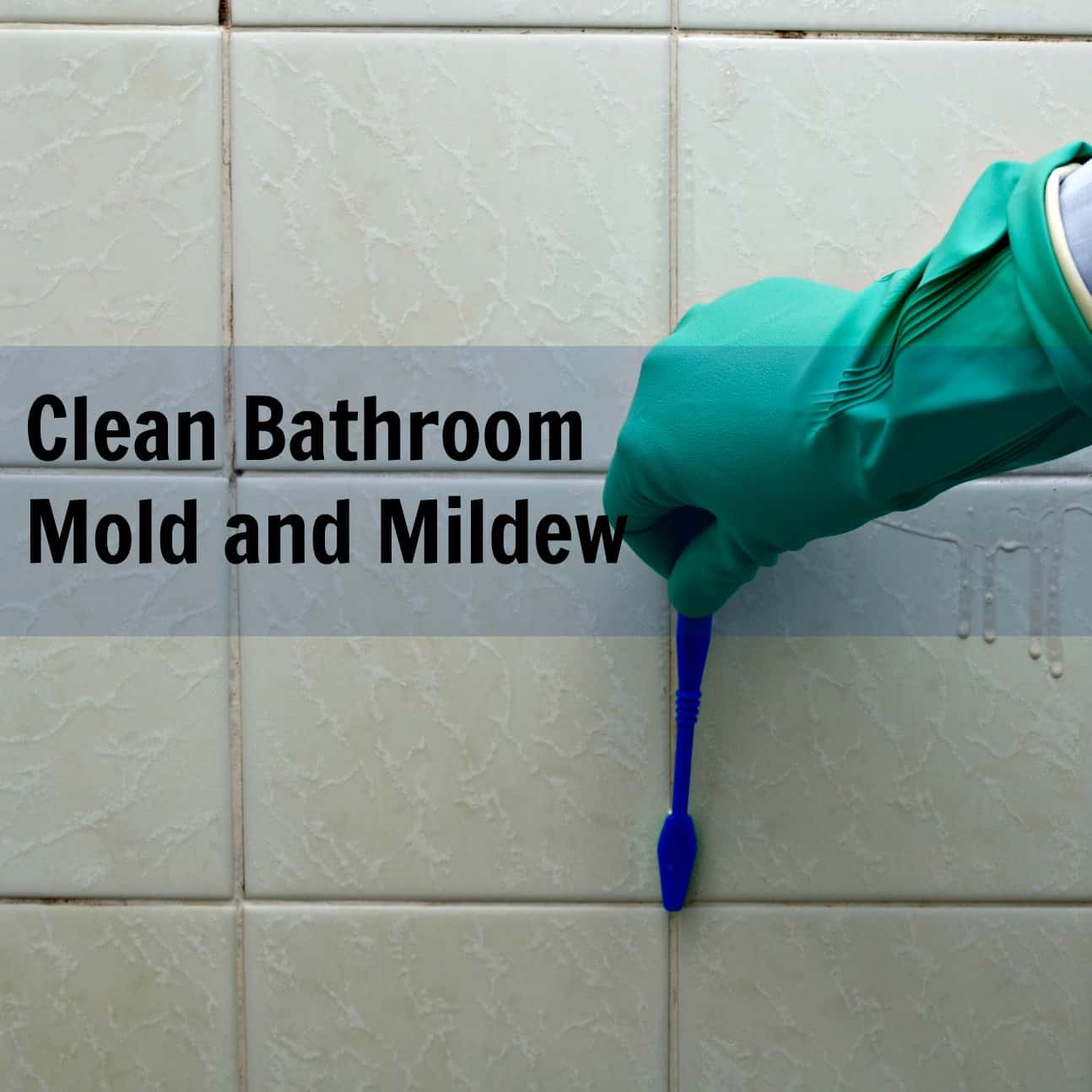 how-to-clean-mildew-the-housing-forum