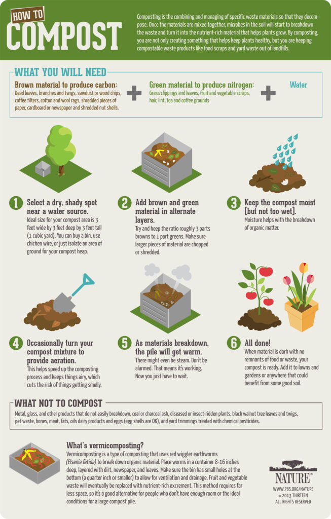  Master Kitchen Composting, Effective Techniques for Beginners