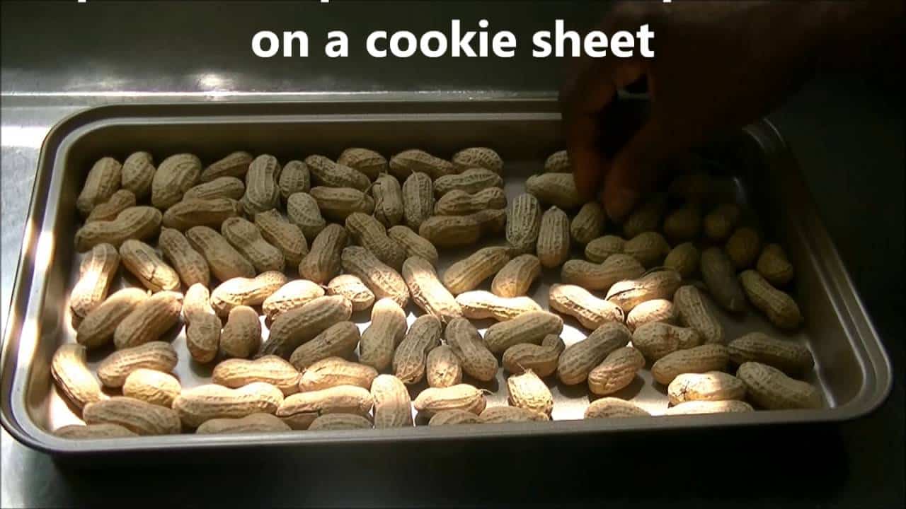 how-to-cook-raw-peanuts-the-housing-forum