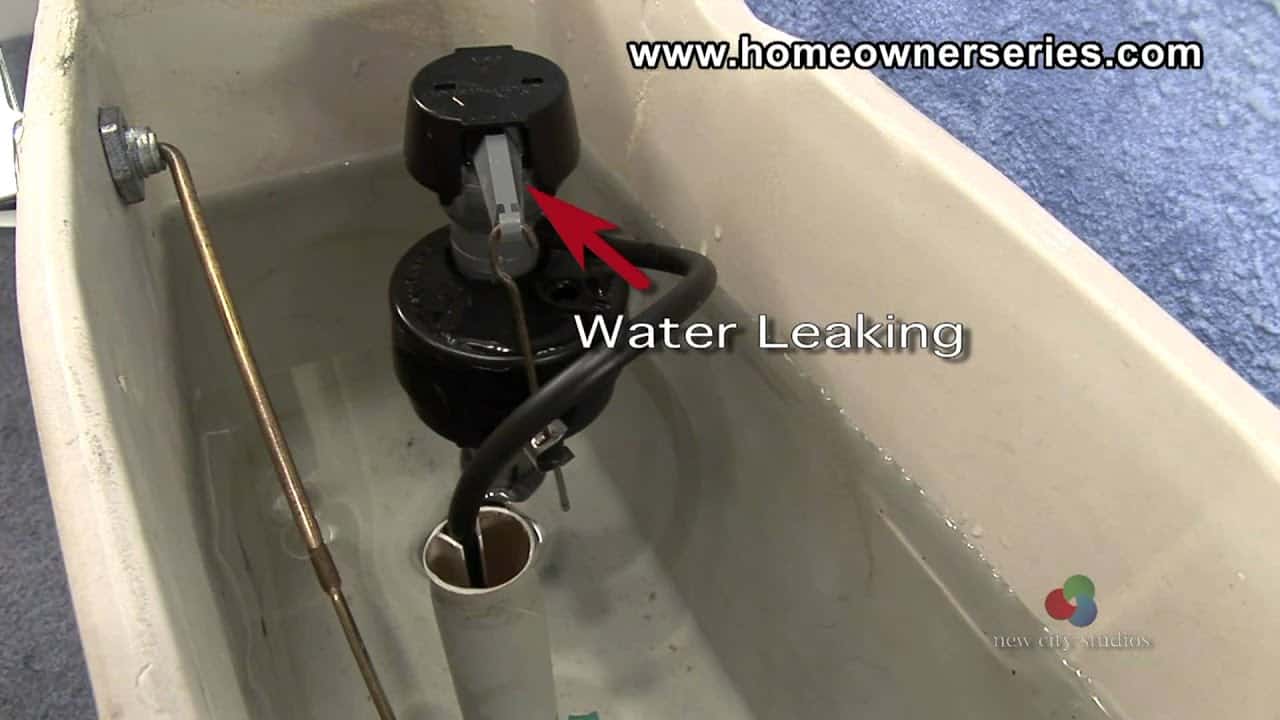 Leaking Toilet Tank Gasket