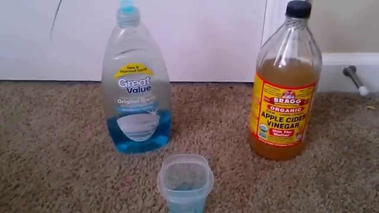 How To Get Rid Of Gnats In The Kitchen The Housing Forum