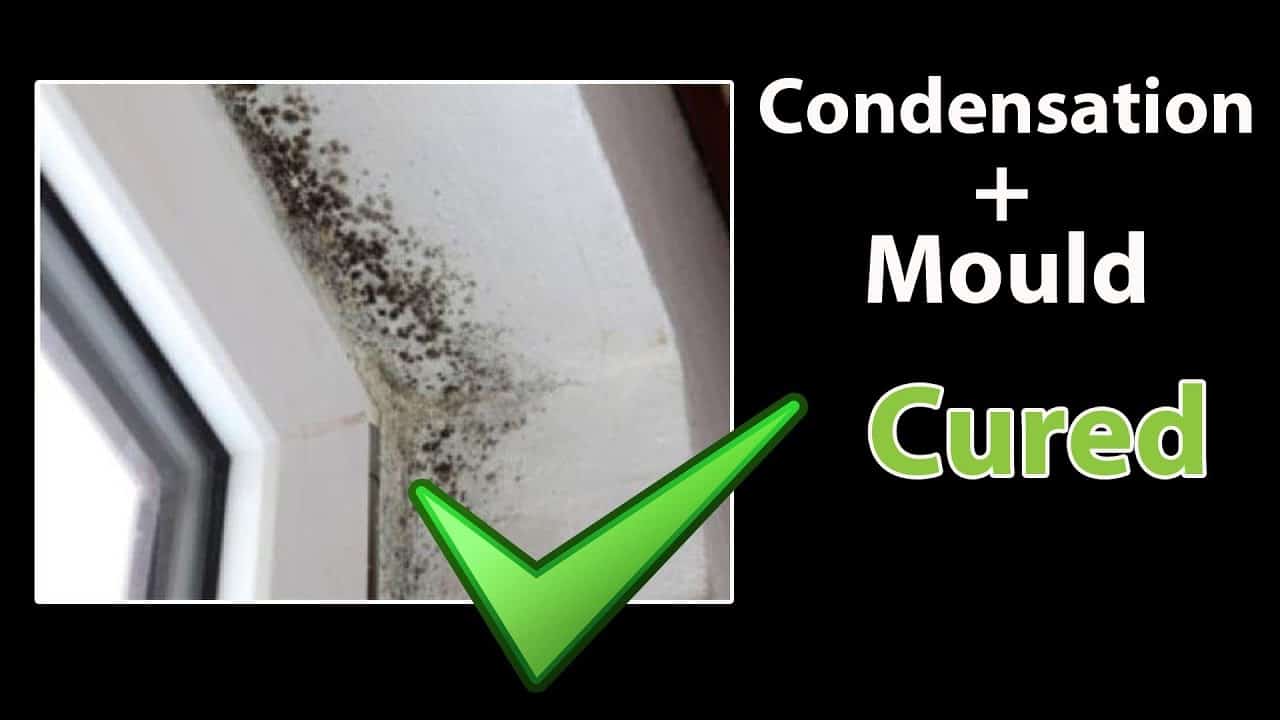 How To Prevent Condensation? – The Housing Forum