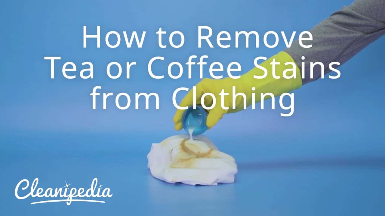 how-to-remove-coffee-stains-the-housing-forum